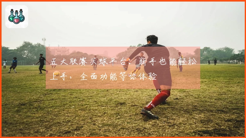 五大联赛买球平台：新手也能轻松上手，全面功能等你体验